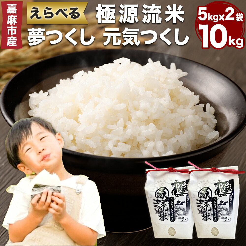 【ふるさと納税】極源流米 5kg×2袋 合計10kg お米 白米 ブランド米 令和7年産 精米 単一原料米 上流栽培米 源流米 選べる 夢つくし 元気つくし 常...
