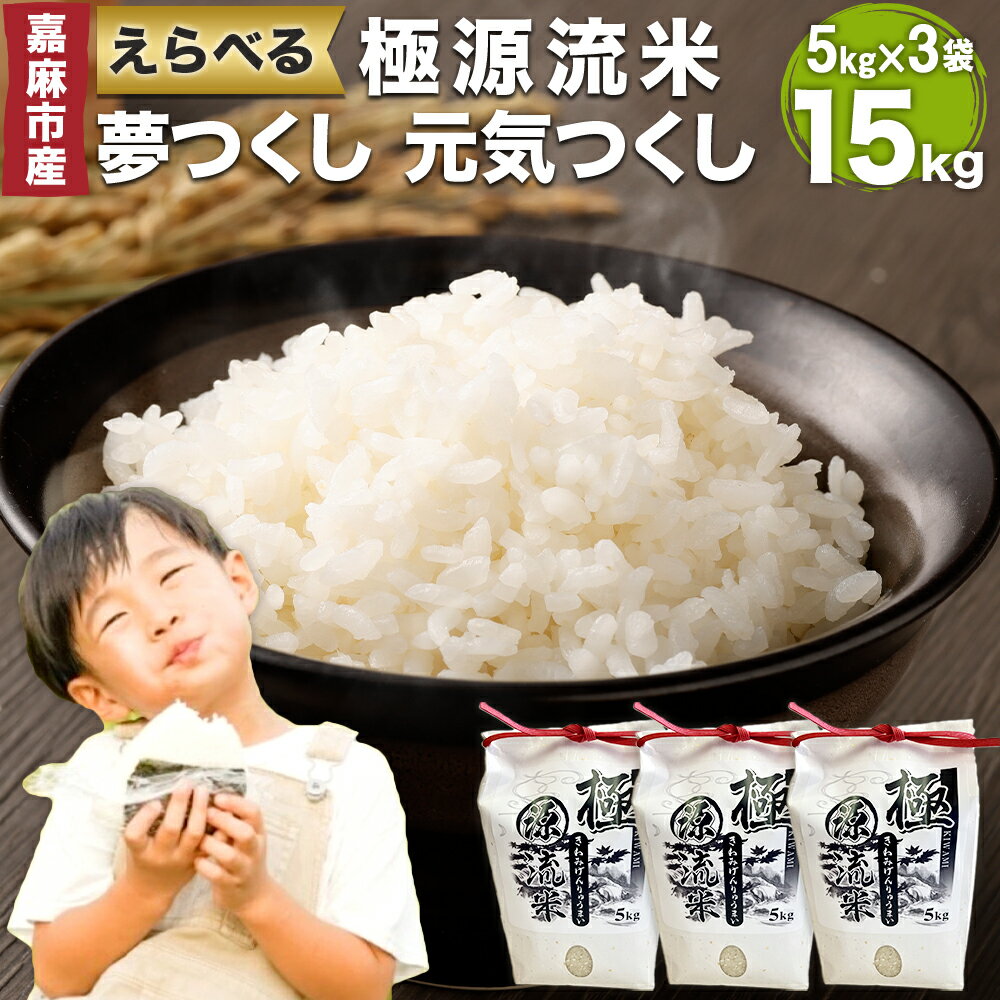 【ふるさと納税】極源流米 5kg×3袋 合計15kg お米 白米 ブランド米 令和7年産 精米 単一原料米 上流栽培米 源流米 選べる 夢つくし 元気つくし 常...