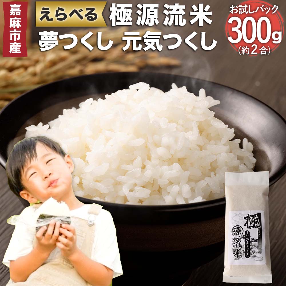 3位! 口コミ数「0件」評価「0」極源流米 お試し パック 300g 2合 買い回り対応 お米 白米 令和5年度産 精米 単一原料米 上流栽培米 源流米 ブランド米 えらべる･･･ 