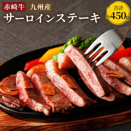 脂の甘みが最高 赤崎牛 サーロインステーキ 約450g 赤身 国産 九州産 牛肉 冷蔵 送料無料