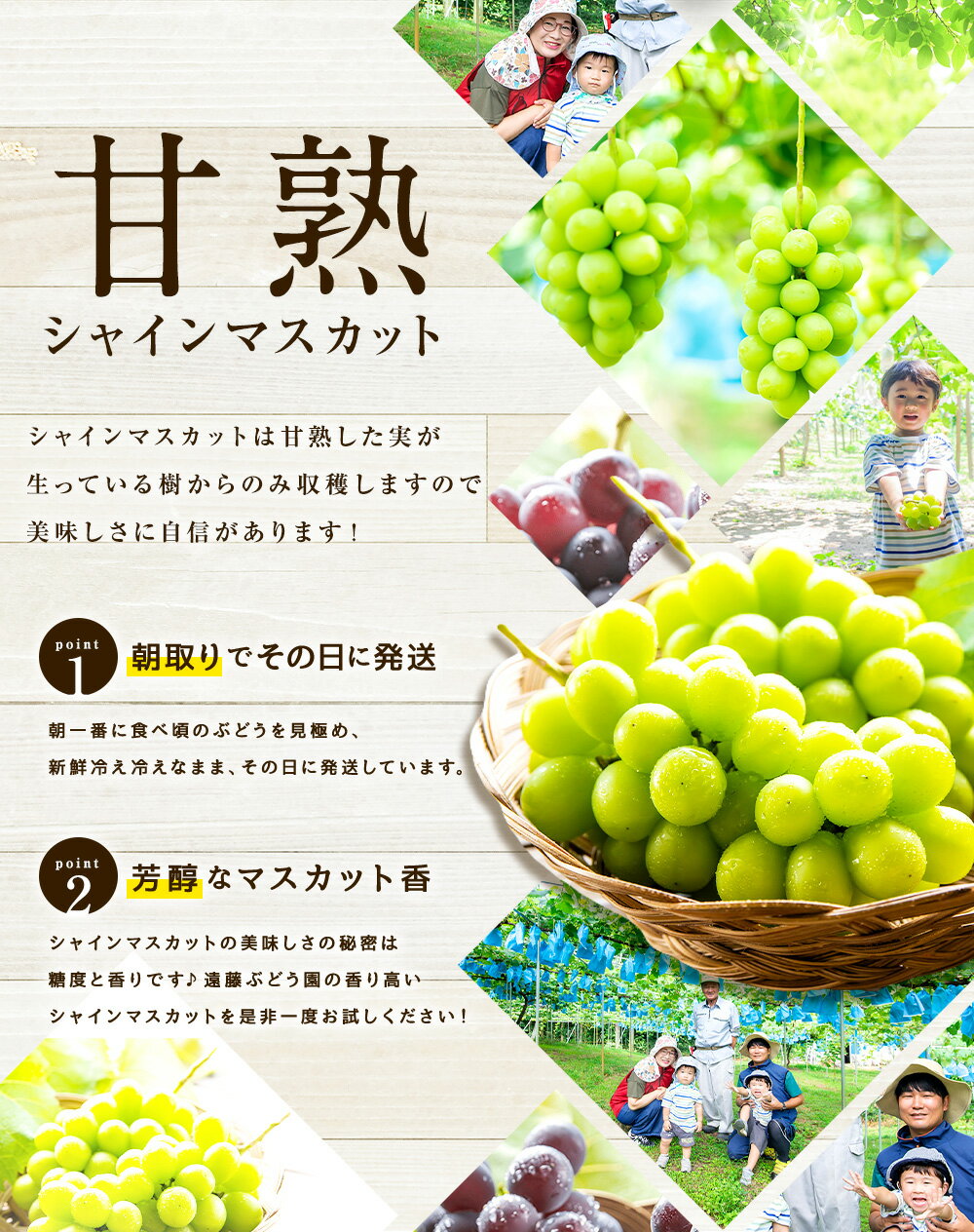 【ふるさと納税】福岡県産 シャインマスカット 約600g/約1kg 選べる内容量 フルーツ 果物 マスカット ぶどう ブドウ 葡萄 福岡県 嘉麻市 送料無料【2025年8月下旬～9月下旬に順次発送予定】