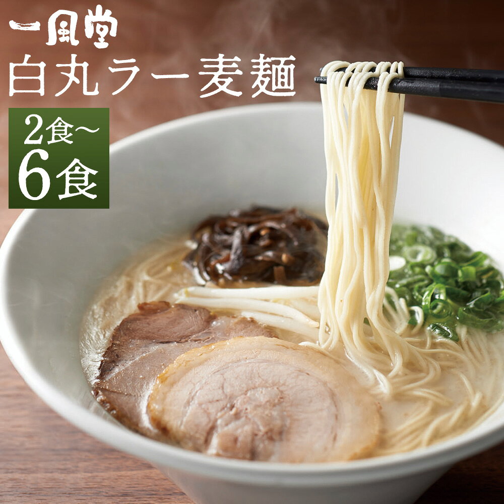 ＜選べる内容量＞一風堂白丸ラー麦麺セット 2食・4食・6食 豚骨スープ とんこつ ラーメン らーめん 拉麵 絹ごし 小麦 ラー麦 ストレート麺 麵類 中華 博多 九州 国産 福岡県 嘉麻市 送料無料