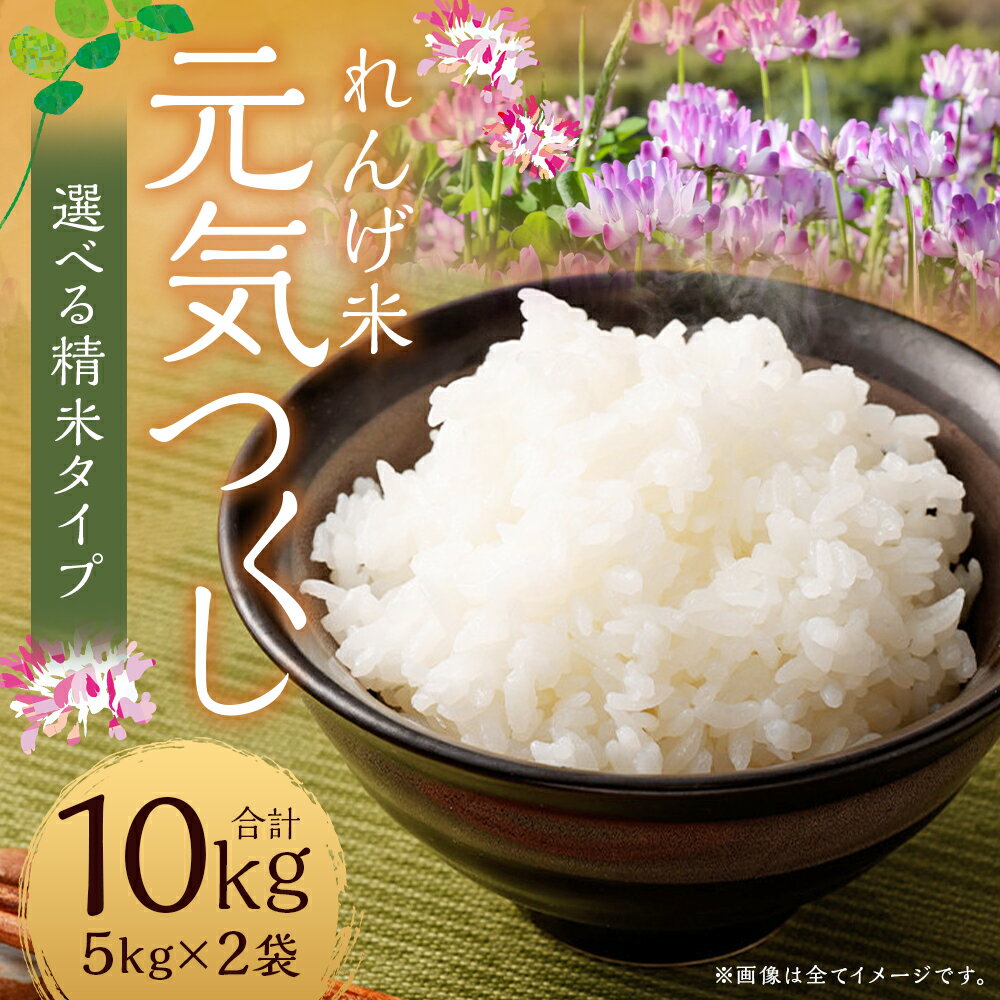 【ふるさと納税】＜選べる内容＞【令和7年産】元気つくし（ 玄米 ・ 精米 ） 計10kg（5kg×2袋） れんげ米 お米 米 白米 ごはん ご飯 お弁当 おにぎり 福岡県産 国産 九州 福岡県 嘉麻市 送料無料 【2025年9月下旬～12月下旬迄順次発送予定】