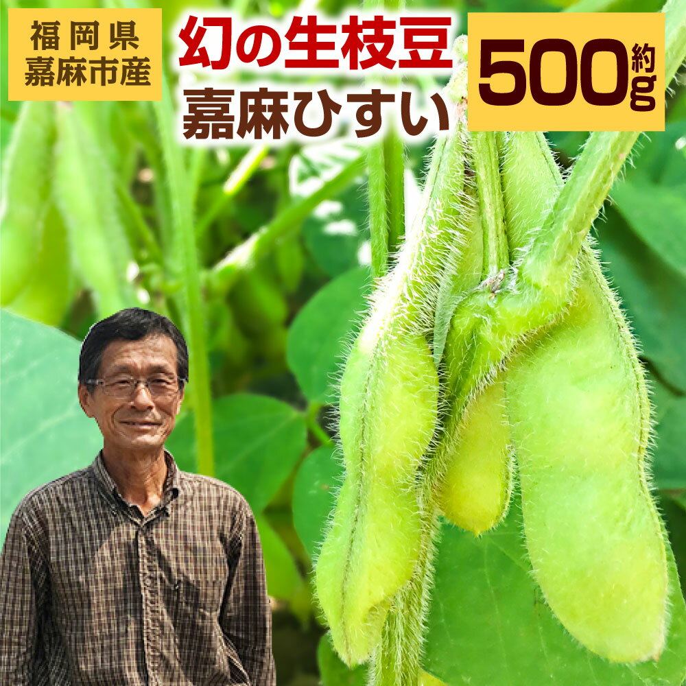 【ふるさと納税】希少な嘉麻ひすい 根付き 枝付き 生枝豆 約500g 福岡県 嘉麻市産 青大豆 キヨミドリ 年に1度 えだまめ えだ豆 おつま..