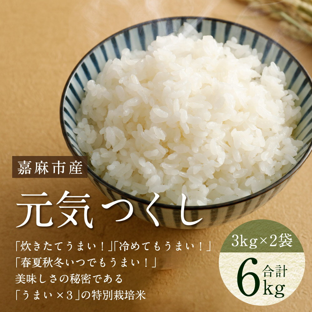 【ふるさと納税】【令和7年産】嘉麻市産 元気つくし 合計約6kg 3kg×2袋 白米 精米 単一原料米 福岡県産 九州産 送料無料 【2025年11月上旬から順次発送予定】