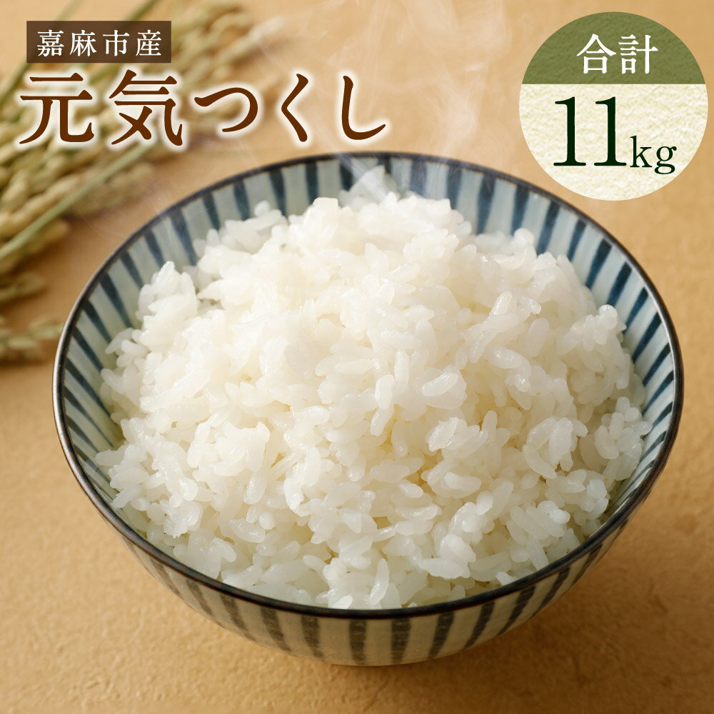 【ふるさと納税】【令和7年産】嘉麻市産 元気つくし 合計約11kg 白米 精米 単一原料米 福岡県産 九州産 送料無料 【2025年11月上旬から順次発送予定】