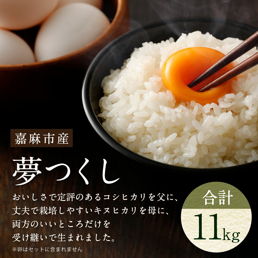 【ふるさと納税】【令和7年産】嘉麻市産 夢つくし 合計約11kg 白米 精米 単一原料米 福岡県産 九州産 送料無料
