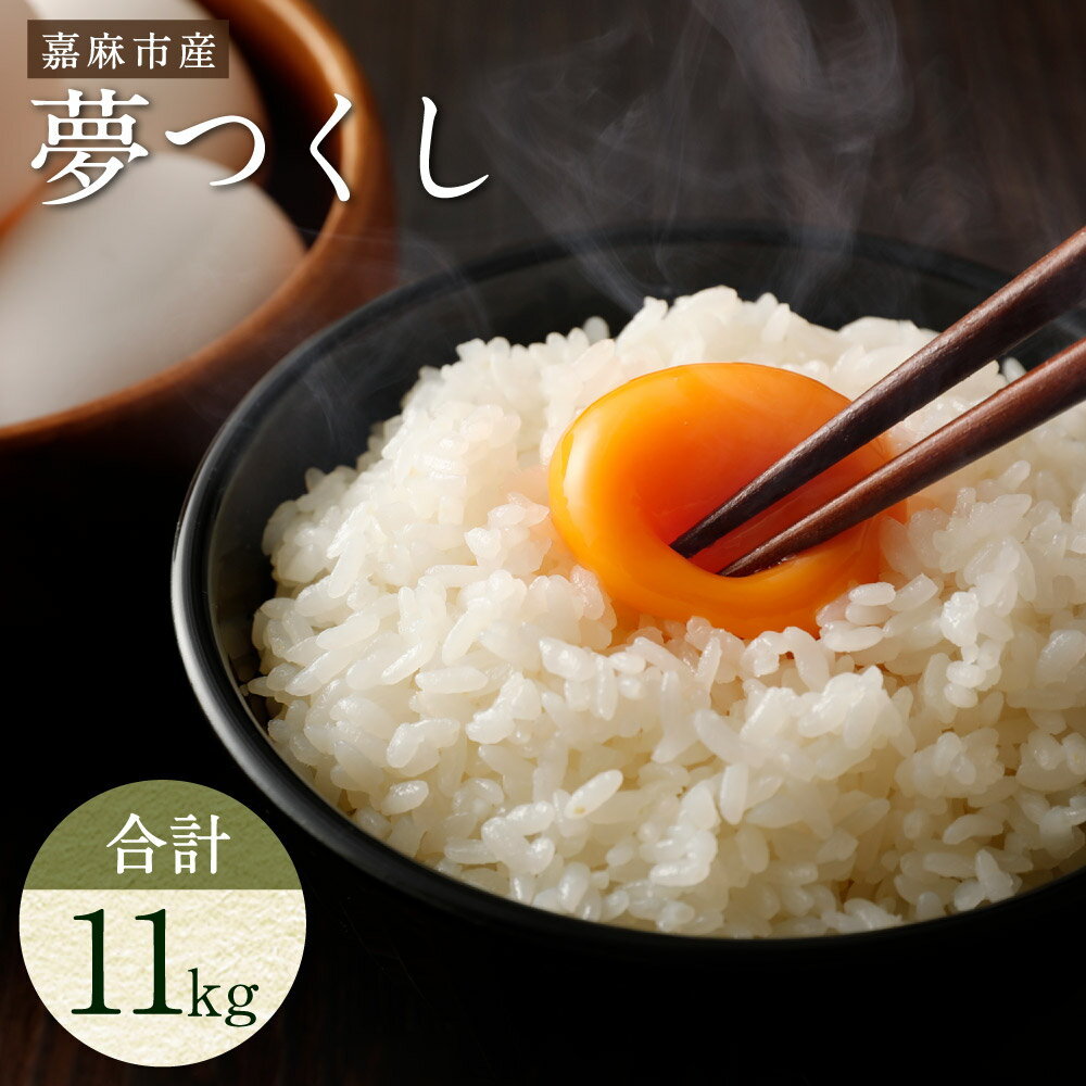 【ふるさと納税】【令和7年産】嘉麻市産 夢つくし 合計約11kg 白米 精米 単一原料米 福岡県産 九州産 送料無料