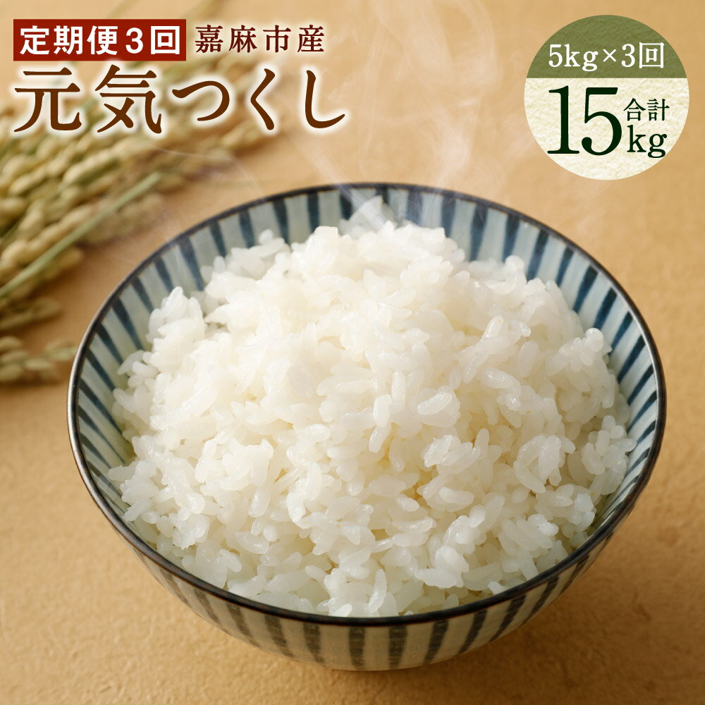 【ふるさと納税】【令和7年産】【3ヶ月定期便】嘉麻市産 元気つくし 合計15kg (5kg×3回) お米 白米 精米 単一原料米 福岡県産 九州産 送料無料 【...