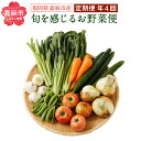 11位! 口コミ数「0件」評価「0」旬を感じるお野菜 定期便 年4回 ほうれん草 スナックエンドウ わらび きゅうり トマト ピーマン 里芋 小松菜 ブロッコリー 白菜 冷蔵 ･･･ 