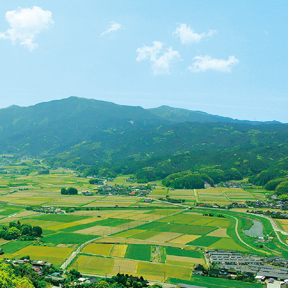 【ふるさと納税】【令和7年産】嘉麻市産 夢つくし 合計約11kg 白米 精米 単一原料米 福岡県産 九州産 送料無料