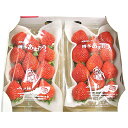 【ふるさと納税】あまおう 贈答用 約540g (約270g×