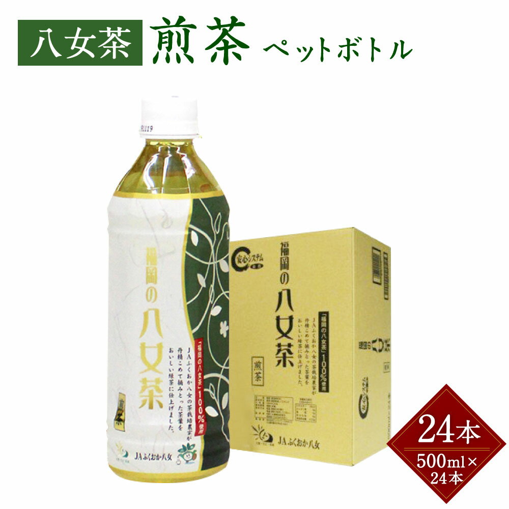 【ふるさと納税】八女茶 煎茶 ペットボトル 500ml×24本 1箱 1ケース 福岡県 八女市 星野村産 お茶 緑...