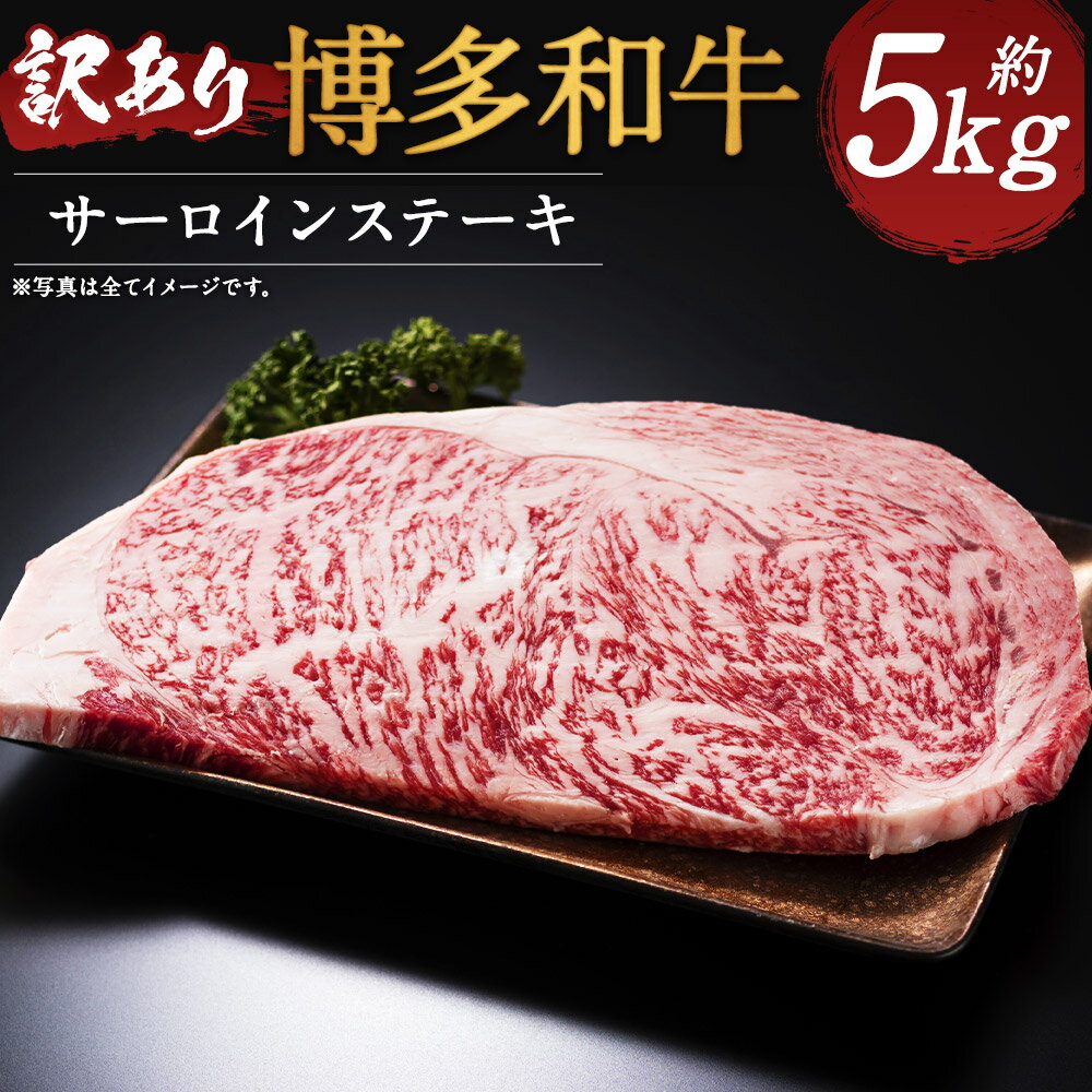 訳あり 博多和牛 サーロインステーキセット 合計約5kg 約250g(2枚入り)×10パック 和牛 牛肉 サーロイン ステーキ ご家庭用 冷凍 福岡県産 九州産 国産 送料無料