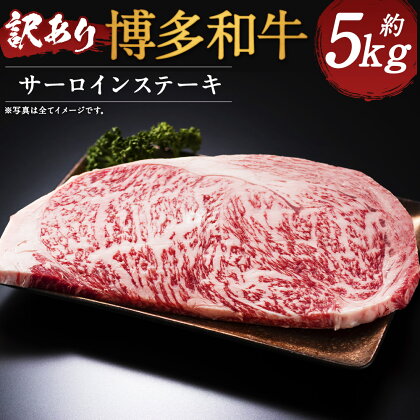 訳あり 博多和牛 サーロインステーキセット 合計約5kg 約250g（2枚入り）×10パック 和牛 牛肉 サーロイン ステーキ ご家庭用 冷凍 福岡県産 九州産 国産 送料無料