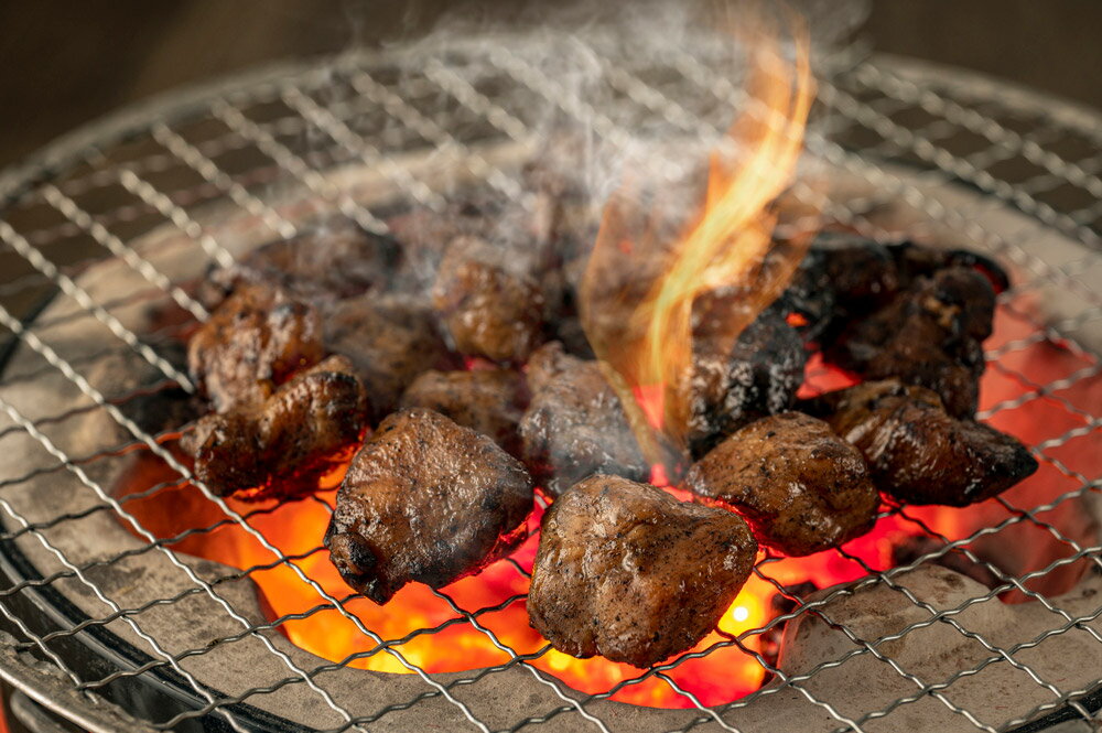 【ふるさと納税】はかた地どり炭火焼 合計500g 100g×5パック 炭火焼 地鶏 鶏肉 おつまみ おかず 小分け 冷凍 送料無料 3