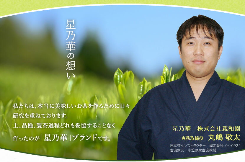 【ふるさと納税】八女茶 煎茶 ペットボトル 500ml×24本 1箱 1ケース 福岡県 八女市 星野村産 お茶 緑茶 茶葉 日本茶 せんちゃ 送料無料