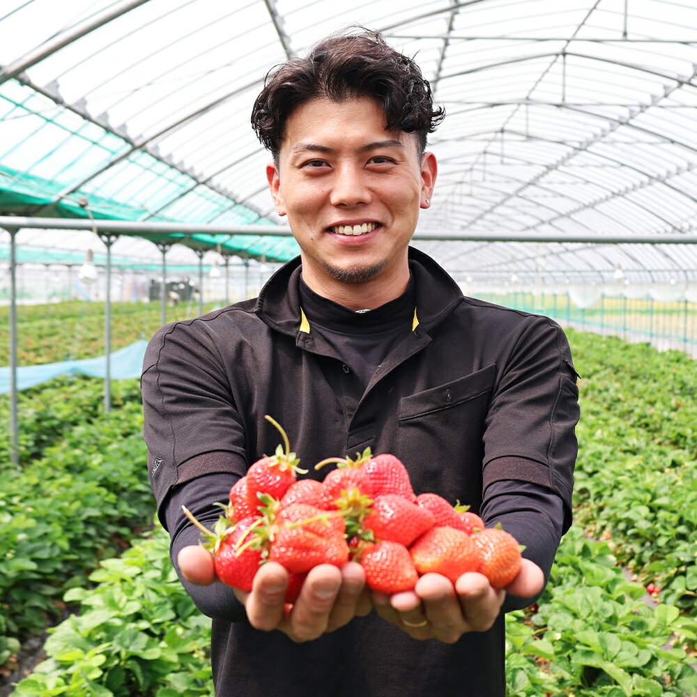 【ふるさと納税】【選べる容量】 渡邉農園の冷凍あまおう 計1kg / 計2kg 冷凍フルーツ 果物 いちご あまおう イチゴ 苺 くだもの フルーツ 果実 冷凍 スムージー 福岡県産 福岡県 嘉麻市 送料無料【2025年9月上旬より順次発送予定】