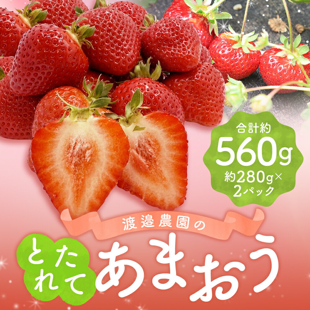 【ふるさと納税】渡邉農園の採れたてあまおう 280g×2パック 計560g いちご あまおう イチゴ 苺 くだもの フルーツ 果実 成果物 冷蔵 福岡県産 福岡県 嘉麻市 送料無料 【2026年1月下旬-4月下旬迄順次発送予定】