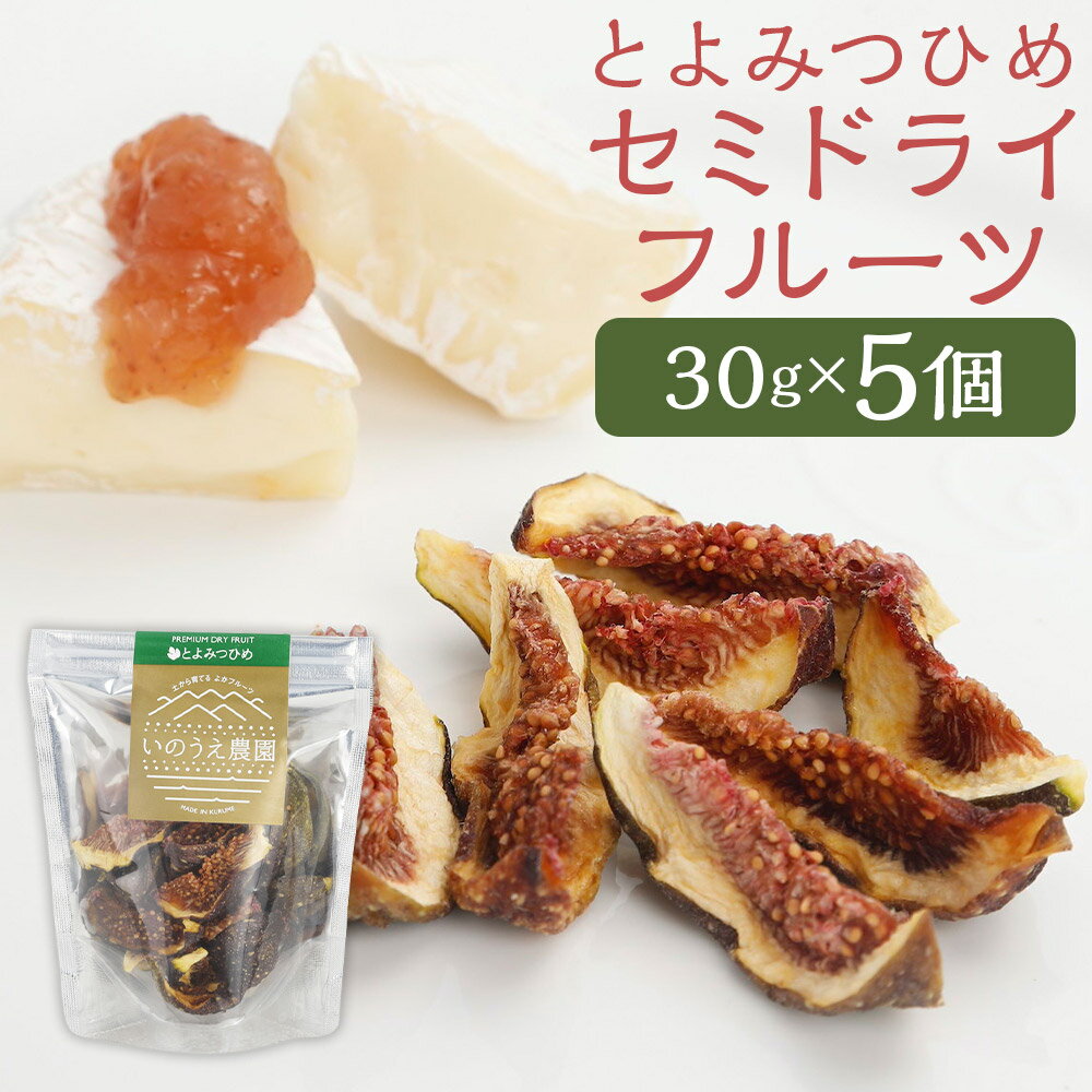 福岡ブランド!とよみつひめ セミドライフルーツ5個セット いちじく イチジク 無花果 フルーツ 果物 くだもの 常温 プレゼント ギフト 贈り物 ドライフルーツ 送料無料