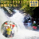 【ふるさと納税】清流が流れる渓谷を下流から上流へと登るシャワークライミング体験チケット 4名様 昼食付 シャワークライミング 滝 嘉穂アルプス アウトドア アク...