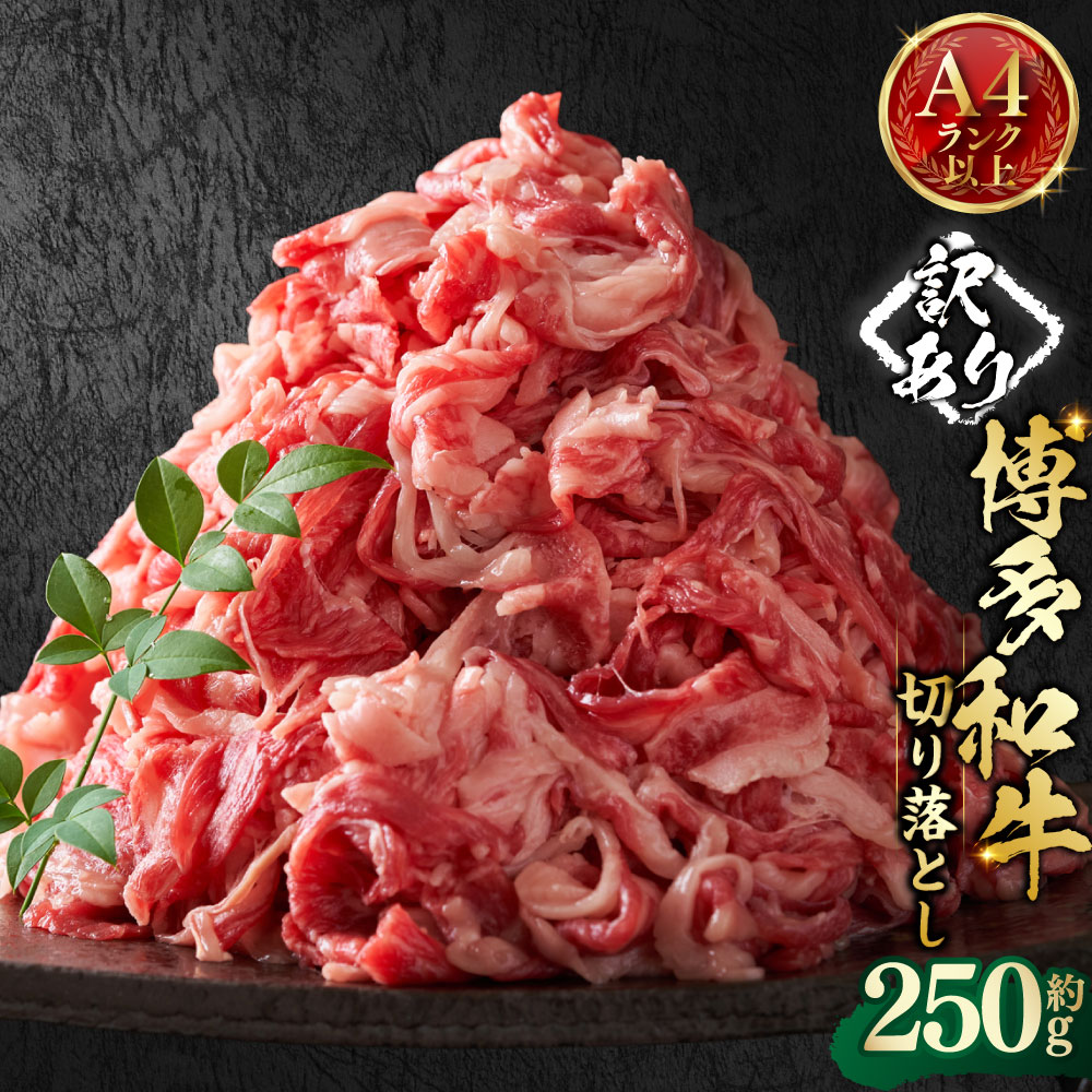 [訳あり]博多和牛A4ランク以上 切り落とし 約250g 博多和牛 和牛 牛肉 お肉 牛肩 バラ 赤身 冷凍 福岡県産 国産 福岡県 嘉麻市 送料無料