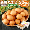 【ふるさと納税】【選べる定期便】新鮮 たまご 3ヶ月定期便/6ヶ月定期便 1回につき30個お届け 福岡県産 鶏卵 卵 玉子 赤卵 赤玉子 生卵 定期便 九州産 ...