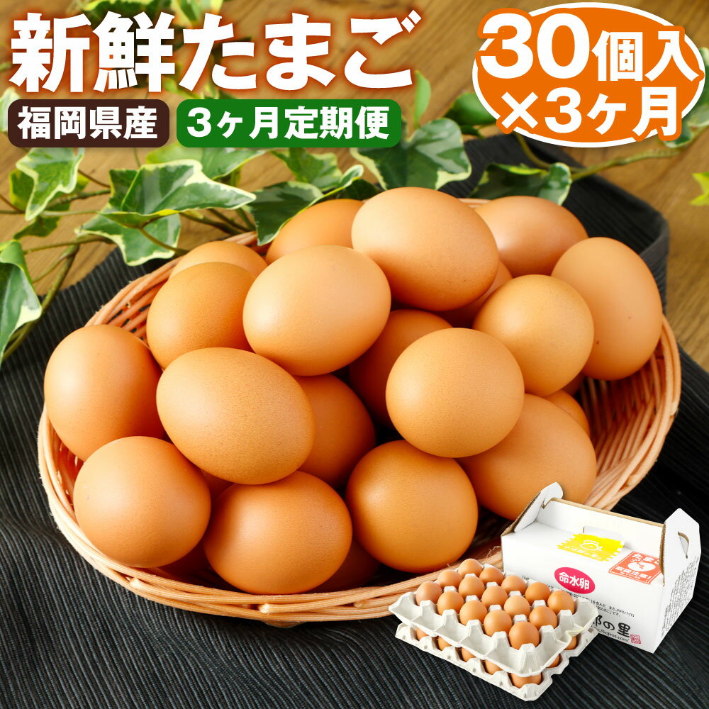 ニワトリたちが毎日たべる餌が違います！ 餌にEM菌（乳酸菌・クロレラ等の有用微生物）を与え鶏の腸内を整えます。 また飲み水には山里の湧水を利用し生臭さのない最高級のたまごが完成します。 商品説明 名称 【3ヶ月定期便】鶏卵 産地 福岡県産 内容量 合計90個（30個×3ヶ月） ※2023年10月以降、毎月1回お届けいたします。（計3回） 賞味期限 2週間 保存方法 高温・多湿・直射日光を避け、涼しい場所に保管してください。 提供者 小次郎の里 備考 写真はイメージです。 注意事項 ●たまごの発送につきましては、破損がないよう十分に注意しておりますが、万が一、破損があった場合は商品到着後、速やかにご連絡をお願い致します。お問い合わせの際は該当の返礼品を保管の上ご連絡下さい。 ●にわとりの産卵状況によっては発送に遅れが生じる場合がございます。 ※夏場は特に産卵数が減少いたします。予めご了承ください。 ふるさと納税 送料無料 お買い物マラソン 楽天スーパーSALE スーパーセール 買いまわり ポイント消化 ふるさと納税おすすめ 楽天 楽天ふるさと納税 おすすめ返礼品 工夫やこだわり 遠賀川の源流地でもある福岡県嘉麻市の水・空気のきれいな場所にて ヒヨコの時から育て広々とした場所にて極限までストレスを軽減した自慢のたまごが完成します。 朝の情報番組「グッド！モーニング」で小次郎の里の卵が紹介されました！ 物価高の影響で高騰している卵はふるさと納税が狙い目！福岡県嘉麻市ではこだわり卵30個を定期的にいただけオススメ！といった内容です。 とっても美味しい小次郎の里の自慢の卵をぜひご賞味ください！ 【地場産品に該当する理由】 当該地方団体の区域内において生産されたものであるため。(告示第5条第1号に該当) ・ふるさと納税よくある質問はこちら ・寄附申込みのキャンセル、返礼品の変更・返品はできません。あらかじめご了承ください。寄附金の使い道について (1) 産業振興のまちづくり 　農林業や商工業の振興、観光・イベント事業などに使われます。 (2) 健康と福祉のまちづくり 　高齢者・障がい者福祉事業、子育て支援事業などに使われます。 (3) 自然と共生する環境のまちづくり 　自然環境保護、公園整備、防災・交通安全対策事業などに使われます。 (4) 教育・文化のまちづくり 　学校教育の充実、生涯学習・スポーツの推進、文化活動支援事業などに使われます。 (5) 住みよいまちづくり 　利便性を高める道路、公共交通、住環境整備事業などに使われます。 (6) その他目的達成のために市長が必要と認める事業 受領証明書及びワンストップ特例申請書について ■受領書入金確認後、注文内容確認画面の【注文者情報】に記載の住所に30日以内に発送いたします。 ■ワンストップ特例申請書・ご希望の方に受領証明書と共にお送りいたします。 ・入金確認後30日以内に住民票住所へお送り致します。必要情報を記載の上返送してください。