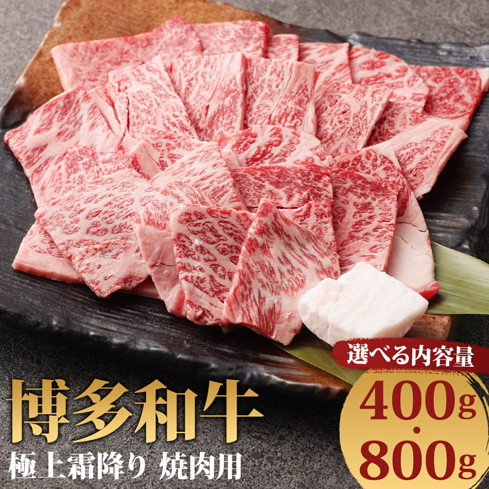 博多和牛 極上霜降り 焼肉用 400g/800g 選べる内容量 お肉 牛肉 和牛 霜降り 焼肉 ギフト 贈り物 福岡県産 九州産 国産 冷凍 送料無料