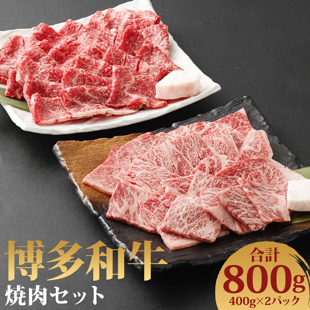 27位! 口コミ数「0件」評価「0」博多和牛 焼肉セット 合計800g 2種類×各400g 霜降り 赤身 食べ比べ お肉 牛肉 和牛 焼肉 ギフト 贈り物 福岡県産 九州産 国･･･ 