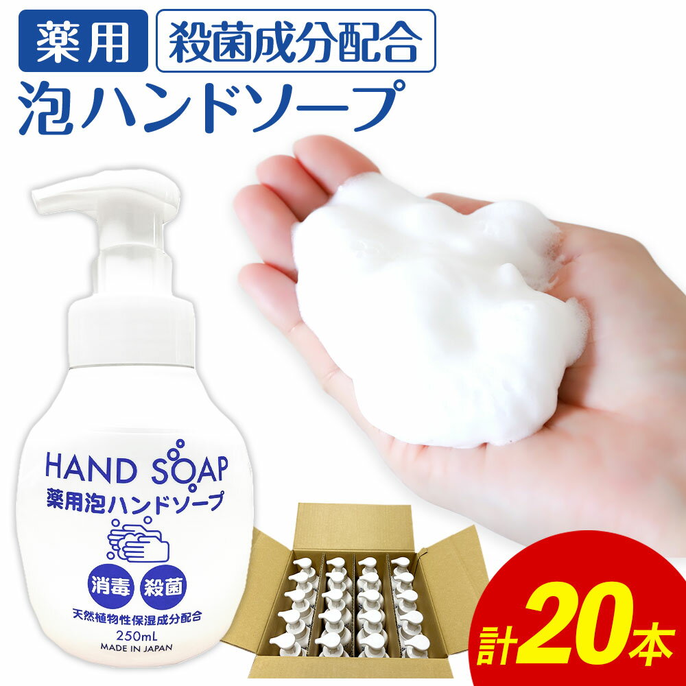 【ふるさと納税】【数量限定】薬用 泡ハンドソープ 250ml×20本 ハンドソープ 手洗い 洗浄 殺菌 消毒 ...