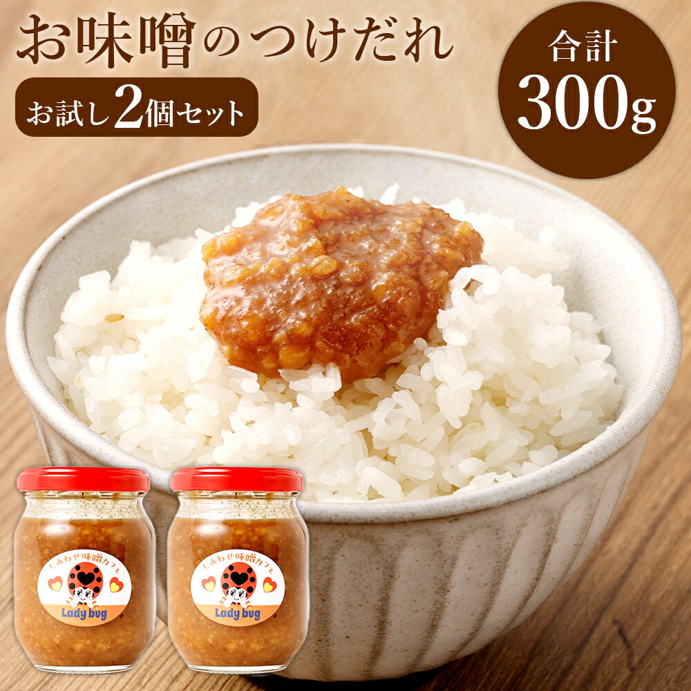 お味噌のつけだれ お試し2個セット 150g×2 計300g 無添加 つけだれ 万能味噌 調味料 醗酵 大豆 味噌 みそ ミソ 漬け込み肉 福岡県産 九州産 国産 冷蔵 送料無料