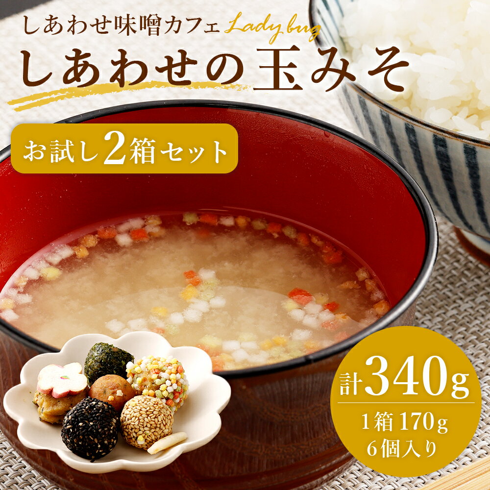 【ふるさと納税】しあわせの玉みそ 6個入り2箱 170g×2 無添加 玉みそ 食べる味噌 調味料 醗酵 大豆 味噌 みそ ミソ 減塩 冷蔵 福岡県産 九州産 国産 送料無料