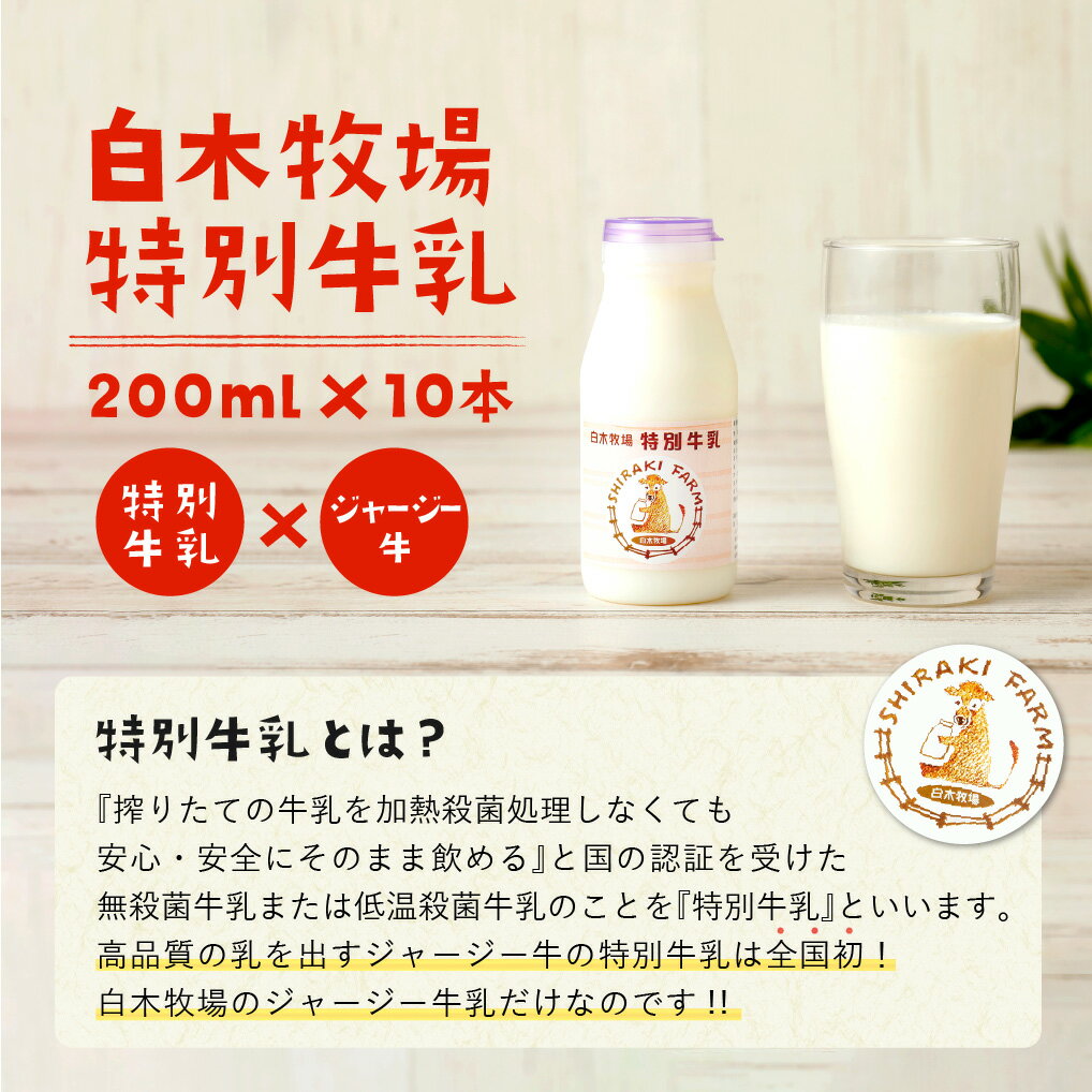 【ふるさと納税】数量限定 白木牧場 特別牛乳 200ml×10本 合計2000ml 2L 無殺菌 低温殺菌牛乳 ジャージー牛乳 牛乳 ミルク 福岡県産 九州産 冷蔵 送料無料