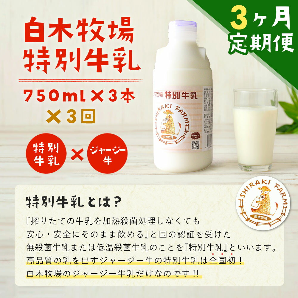 【ふるさと納税】【3ヶ月定期便】数量限定 白木牧場 特別牛乳 750ml×3本×3回 無殺菌 低温殺菌牛乳 ジャージー牛乳 牛乳 ミルク 福岡県産 九州産 冷蔵 送料無料