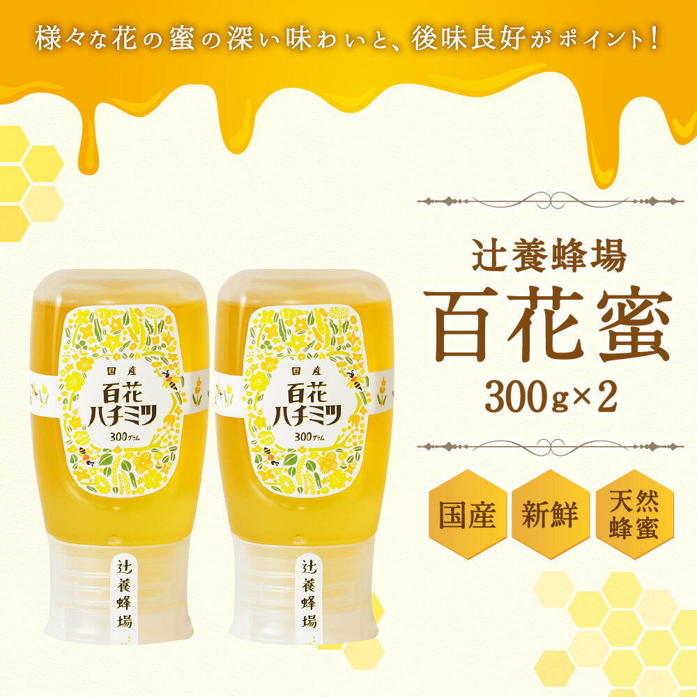 【ふるさと納税】辻養蜂場株式会社 百花蜜 300g×2本 合計600g 国産 九州産 天然蜂蜜 蜂蜜 はちみつ ハニー チューブタイプ 送料無料