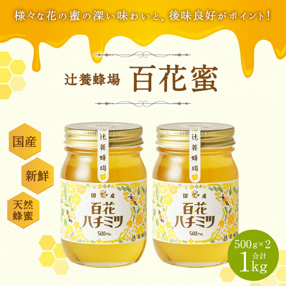 【ふるさと納税】辻養蜂場株式会社 百花蜜 500g×2個セット 合計 1kg はちみつ 蜂蜜 国産 九州産 瓶 送料無料