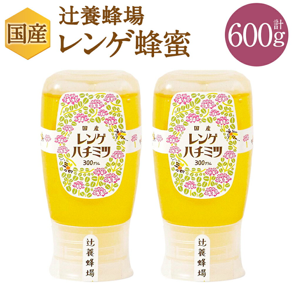 【ふるさと納税】辻養蜂場株式会社 レンゲ蜂蜜 300g×2本 合計600g 国産 九州産 天然蜂蜜 蜂蜜 はちみつ ハニー チューブタイプ 送料無料