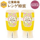 【ふるさと納税】辻養蜂場株式会社 レンゲ蜂蜜 300g 2本 合計600g 国産 九州産 天然蜂蜜 蜂蜜 はちみつ ハニー チューブタイプ 送料無料