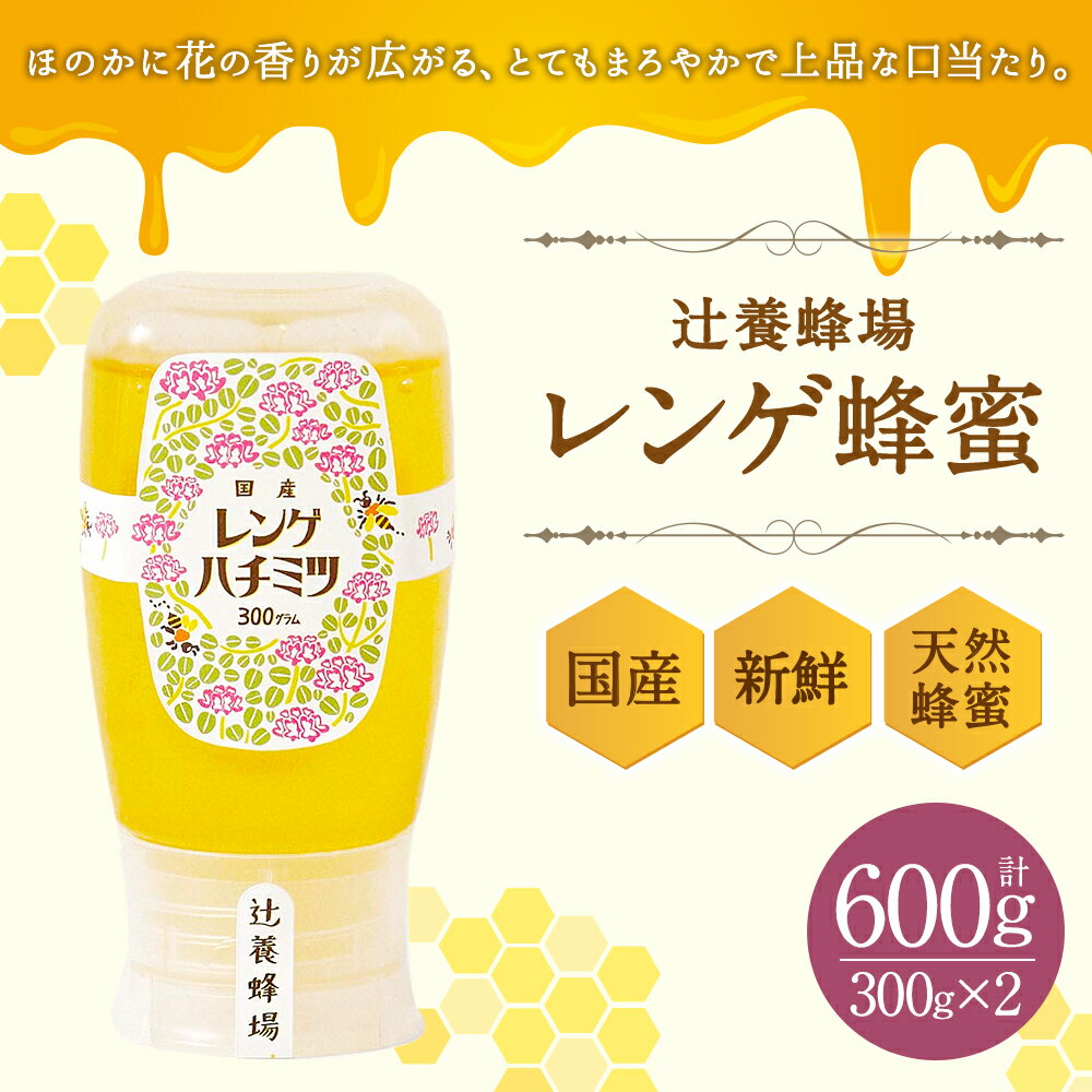 【ふるさと納税】辻養蜂場株式会社 レンゲ蜂蜜 300g×2本 合計600g 国産 九州産 天然蜂蜜 蜂蜜 はちみつ ハニー チューブタイプ 送料無料