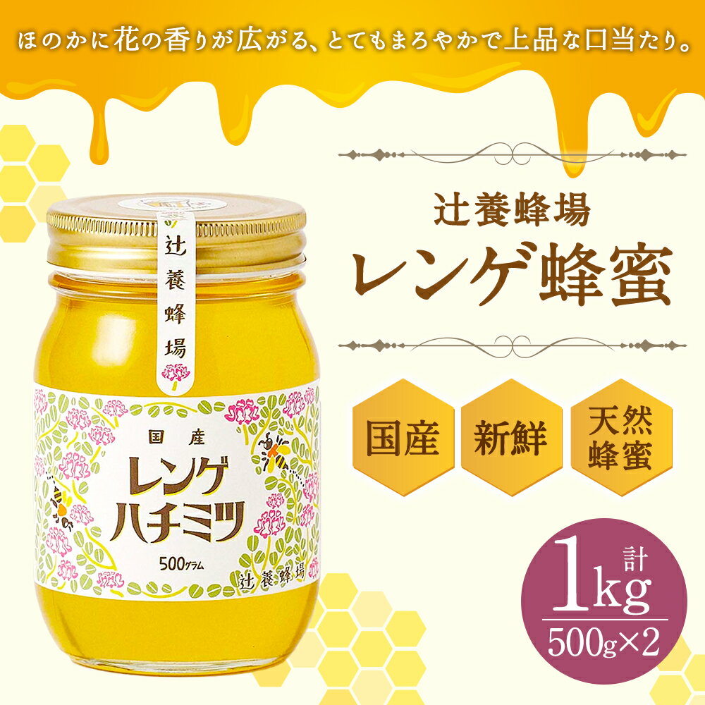 【ふるさと納税】辻養蜂場株式会社 レンゲ蜂蜜 500g×2本 合計1kg 国産 九州産 天然蜂蜜 蜂蜜 はちみつ ハニー 瓶 送料無料