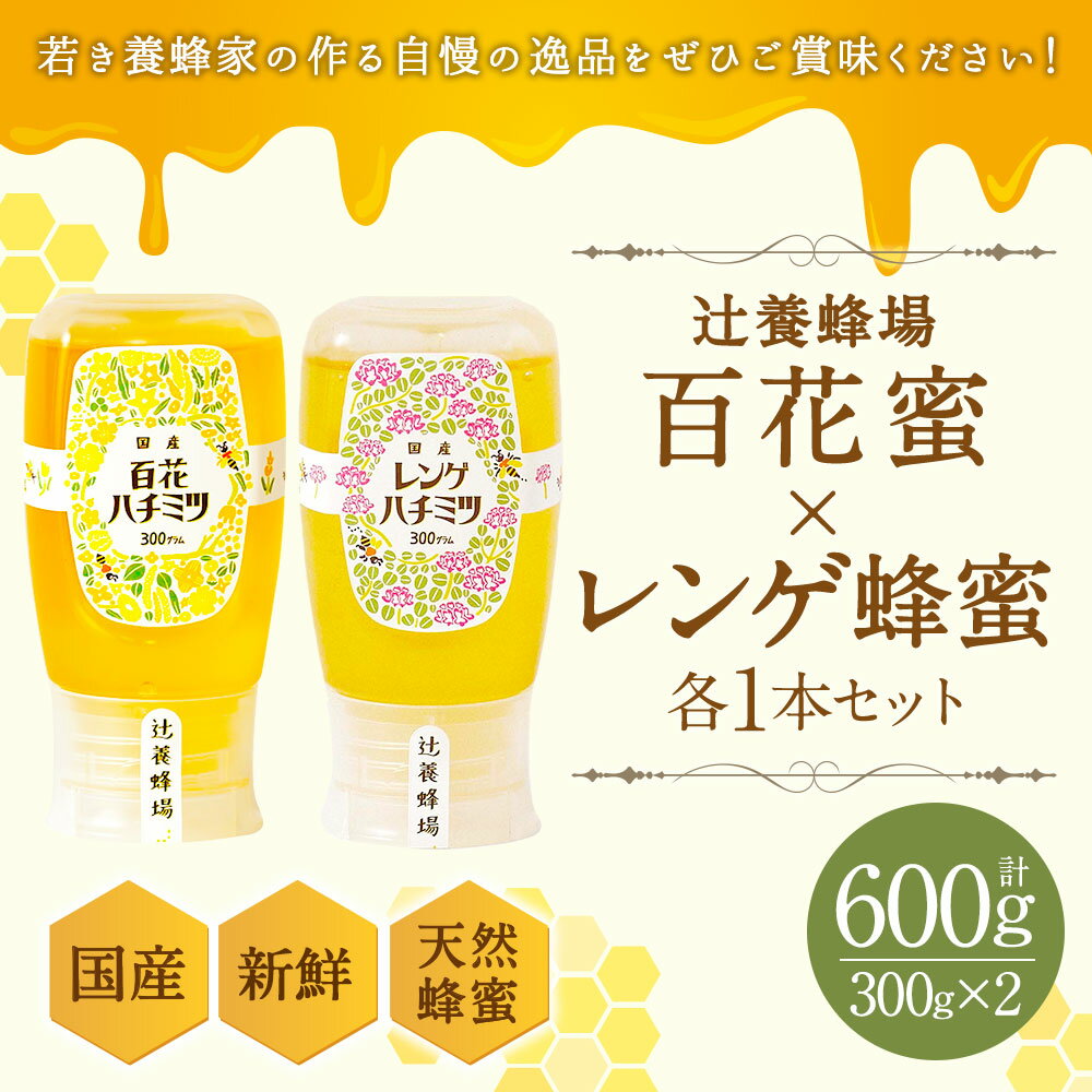 【ふるさと納税】辻養蜂場株式会社 百花蜜 レンゲ蜂蜜 300g×2本 合計600g 国産 九州産 天然蜂蜜 蜂蜜 はちみつ ハニー チューブタイプ 送料無料