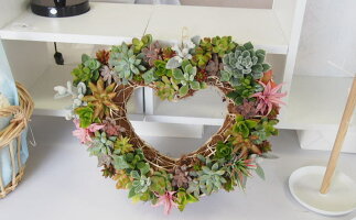 ふるさと納税 植物 福岡県朝倉市 可愛いハートの多肉植物寄せ植え 福岡県朝倉市 ふるさと納税 植物 福岡県朝倉市 可愛いハートの多肉植物寄せ植え 福岡県朝倉市