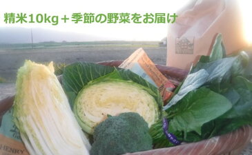 【ふるさと納税】お米10kgと季節のお野菜セット 【お米・野菜・セット・詰合せ】