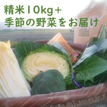 【ふるさと納税】お米10kgと季節のお野菜セット 【お米・野菜・セット・詰合せ】