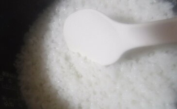 【ふるさと納税】お米10kgと季節のお野菜セット 【お米・野菜・セット・詰合せ】
