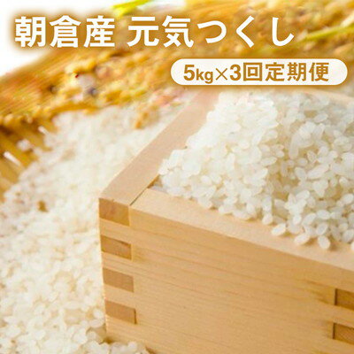 【ふるさと納税】【3回定期】朝倉産 「元気つくし」5kg　【定期便・お米】