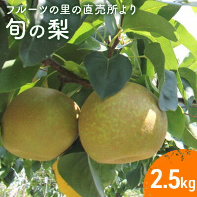 記事番号:33389/アイテムID:360986の画像