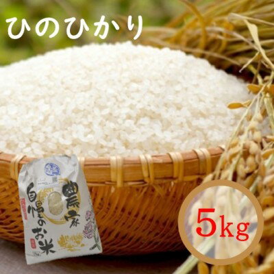 【ふるさと納税】令和四年度 ひのひかり 5kg　【お米・ヒノヒカリ】　お届け：2022年10月20日〜2023年3月25日