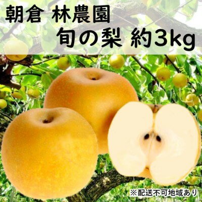 記事番号:33342/アイテムID:353748の画像
